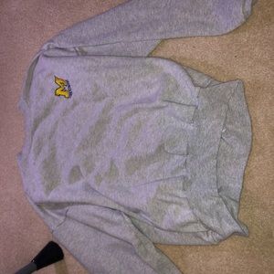 Michigan sweater